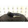 BLOCCO COMANDI TERGICRISTALLI 015 SUZUKI SWIFT (04/05-02/11) M16A 3731062JA1000