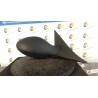RETROVISORE EST. REGOLAZ. ELETTR. DX. 020 ALFA ROMEO 156 1A SERIE (10/97-03/00) AR32301 156018579
