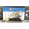 PROIETTORE DX. 051 LANCIA YPSILON (TE) (06/03-09/06) 188A9000 51774225