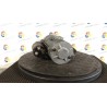 MOTORINO AVVIAMENTO 067 CHRYSLER PT CRUISER (05/00-10/05) 664 K05033067AA