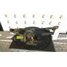 MECCANISMO TERGIPARABREZZA 046 HYUNDAI GETZ (07/02-12/09) G4EA 981201C001