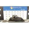 MOTORINO AVVIAMENTO 085 OPEL ASTRA (A04) (01/04-03/11) Z17DTH 98014743