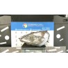 PROIETTORE SX. 200 MERCEDES-BENZ CLASSE A (W168) (10/97-02/01) 166940 A1688200161