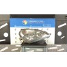 PROIETTORE DX. 201 MERCEDES-BENZ CLASSE A (W168) (10/97-02/01) 166940 A1688201061