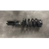 AMMORTIZZATORE ANT. DX 058 DODGE JOURNEY BWD NB0086000267003850084281DX