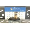 POMPA CARBURANTE C/TRASDUTTORE (GALLEGGIANTE) 003 FORD FIESTA (CB1) (09/08-10/13) SNJA 1809972