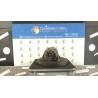 ALTERNATORE C/A/C 042 CHEVROLET (DAEWOO) AVEO (T300) (05/11-) A12XER 13579655