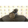 MOTORINO AVVIAMENTO 044 CHEVROLET (DAEWOO) MATIZ (M100) (12/00-02/06) F8CV 96518887