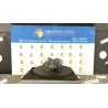 MOTORINO AVVIAMENTO 176 RENAULT MEGANE 2A SERIE (09/02-02/06) F9QB8 8200628419