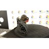 MOTORINO AVVIAMENTO 176 RENAULT MEGANE 2A SERIE (09/02-02/06) F9QB8 8200628419