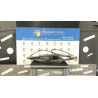 ALZACRISTALLO ELETTR. PORTA ANT. C/MOTORINO SX. 081 PEUGEOT 206 PLUS (02/09-) HFX 9221F9