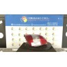 FANALE POST. DX. 047 RENAULT SCENIC (03/99-05/03) K4MA7 7700428055