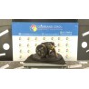 COMPRESSORE A/C 149 CITROEN C5 (X7) (02/08-) RHR 9800840380