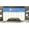 LUCE CORTESIA ANT. TETTO 053 CHEVROLET (DAEWOO) MATIZ (M200) (04/05-12/10) B10S1 96657334