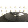 BOBINA 020 RENAULT SCENIC 2A SERIE (06/03-08/09) K4MT7 8200568671