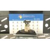 POMPA CARBURANTE C/TRASDUTTORE (GALLEGGIANTE) 049 RENAULT CLIO 3A SERIE (07/05-05/09) K4JG7 8200727740