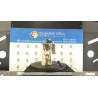 POMPA CARBURANTE C/TRASDUTTORE (GALLEGGIANTE) 099 CHEVROLET (DAEWOO) AVEO (T250) (06/08-11/12) B12D1 96802754