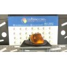 FANALINO ANT. DX. 146 VOLKSWAGEN POLO 3A SERIE (11/94-09/01) AEX 6N0953042B