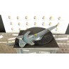 ALZACRISTALLO ELETTR. CON MOTORINO SX 149 RENAULT KANGOO (04/03-03/09) D7FG7 NB0065019045006SX
