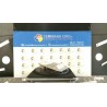 LUCE CORTESIA ANT. TETTO 070 RENAULT CLIO 4A SERIE (07/12-12/16) D4FD7 264300008R