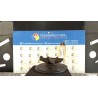 MONTANTE SOSP. ANT. DX. 007 RENAULT MEGANE 2A SERIE (09/02-02/06) K9KP7 8200297032