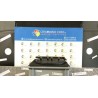 INIETTORE 004 FORD KA (CCU) (10/08-03/17) 169A4000 1562024
