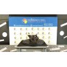 POMPA INIEZIONE 120 FORD FIESTA (CBK) (12/05-12/08) F6JB 1522409