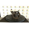 POMPA INIEZIONE 120 FORD FIESTA (CBK) (12/05-12/08) F6JB 1522409
