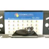 MOTORINO AVVIAMENTO 134 FIAT STILO (2C) (09/01-11/03) 192A4000 51832959