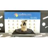 POMPA CARBURANTE C/TRASDUTTORE (GALLEGGIANTE) GPL 050 DACIA SANDERO 2A SERIE (12/12-) D4FF7 172022377R
