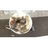 POMPA CARBURANTE C/TRASDUTTORE (GALLEGGIANTE) 121 OPEL AGILA (H08) (01/08-) K10B 93194168