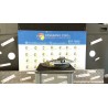 ALZACRISTALLO ELETTR. PORTA POST. SX. 160 CITROEN XSARA PICASSO (12/99-01/10) NFU 9223E3