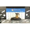 POMPA CARBURANTE C/TRASDUTTORE (GALLEGGIANTE) 093 FORD FIESTA (CB1) (09/08-10/13) RTJA 1809972
