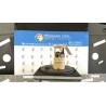 POMPA CARBURANTE C/TRASDUTTORE (GALLEGGIANTE) 006 RENAULT TWINGO 2A SERIE (06/07-02/12) D7FA8 8200368239