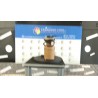 POMPA CARBURANTE 108 VOLKSWAGEN GOLF (1J) (09/97-03/06) AUS 1J0919087J