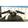 DEVIOGUIDASGANCIO COMPL. 041 NISSAN MICRA (K12E) (11/02-05/06) CR12 25560AX786