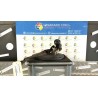 MOTORINO TERGIPARABREZZA 184 FIAT SEICENTO (1E) (02/98-07/05) 187A1000 9949162