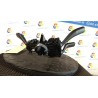 DEVIOGUIDASGANCIO 051 AUDI A5/S5 (8T) (03/07-03/12) CCW 8K0953502BC4PK