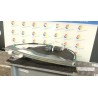 ALZACRISTALLO PORTA POST. SX. 147 PEUGEOT 407 (03/04-03/12) RHR 922385