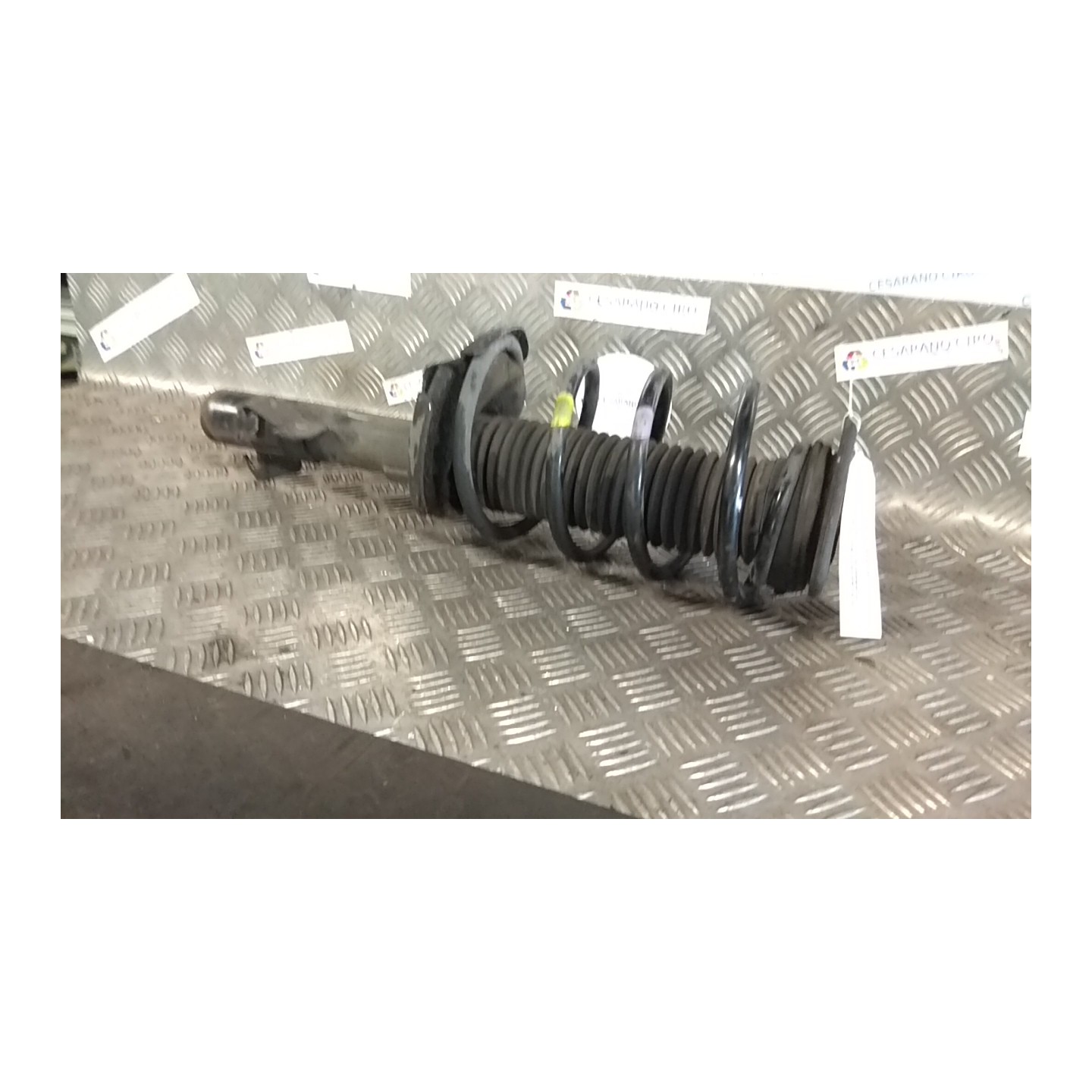 AMMORTIZZATORE ANT. DX 135 MAZDA MAZDA 3 (08/06-10/09) Z6 NB0086085027002DX