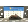 COLLETTORE SCARICO 089 MERCEDES-BENZ CLASSE A (W168) (03/01-06/04) 668942 A6681420201