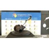 TURBOCOMPRESSORE 090 MERCEDES-BENZ CLASSE A (W168) (03/01-06/04) 668942 A6680960499