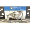 PROIETTORE SX. 123 MERCEDES-BENZ CLASSE A (W168) (10/97-02/01) 668941 A1688200161