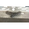 BRACCIO OSCILLANTE SOSP. ANT. DX. 047 SEAT LEON (10/12-) CKF 5Q0407152L