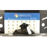 MOTORINO VENTILAZIONE ABITACOLO 019 IVECO DAILY (02/00-04/06) 814043B NB4959026035011