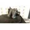 ALTERNATORE 020 PEUGEOT 108 (04/14-06/19) 1KR B000771980