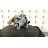 COMPRESSORE A/C 022 PEUGEOT 108 (04/14-06/19) 1KR B000776180