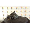 MOTORINO AVVIAMENTO 009 NISSAN QASHQAI (J10E/JJ10E) (02/07-12 HR16 23300EE01C
