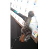 ASSALE POST. 001 HYUNDAI I10 (02/08-06/14-) G4HG 551000X000