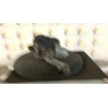 MOTORINO TERGIPARABREZZA DX. 065 FORD FOCUS (CB8) (02/11-11/15-) T1DA 1933687